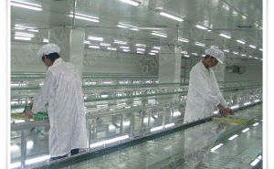 食品无尘车间设计应该如何布局的呢-实力厂家在线解答【东鑫净化】