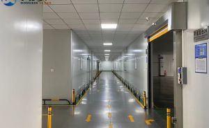 净化工程的意义和发展趋势【东鑫净化】