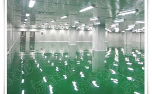 无尘车间施工的特点【东鑫净化】