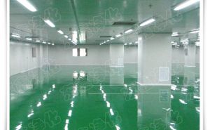 三十万级无尘车间简介【东鑫净化】